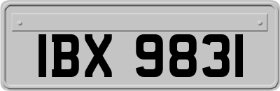 IBX9831