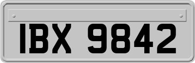 IBX9842