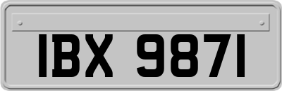 IBX9871