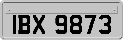 IBX9873