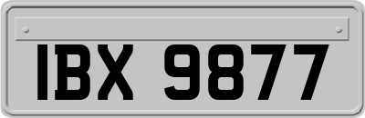IBX9877