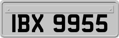 IBX9955