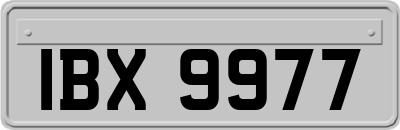 IBX9977