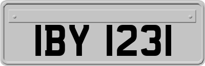 IBY1231