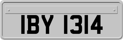 IBY1314