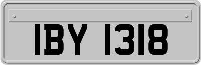 IBY1318