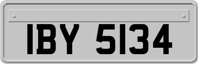 IBY5134