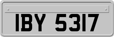 IBY5317