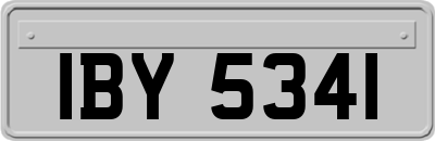 IBY5341