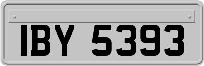 IBY5393