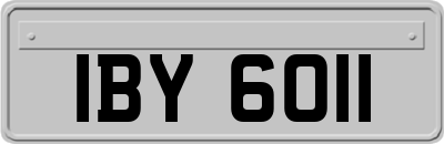 IBY6011