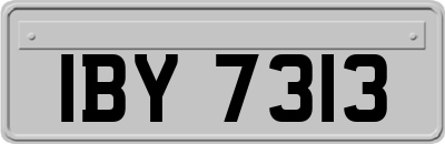 IBY7313