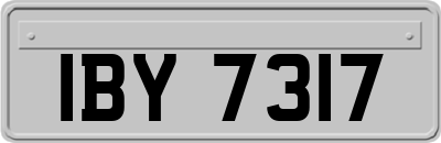 IBY7317