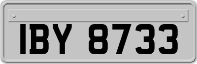 IBY8733
