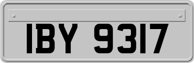 IBY9317