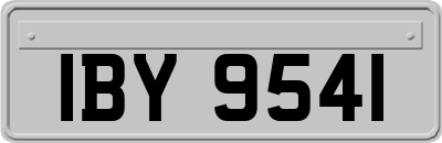 IBY9541