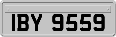 IBY9559