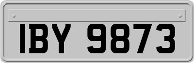 IBY9873
