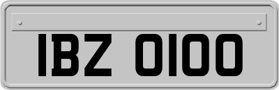 IBZ0100