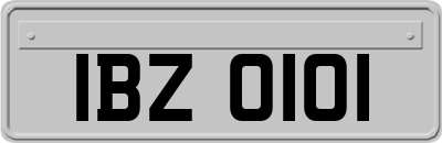 IBZ0101