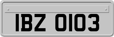 IBZ0103