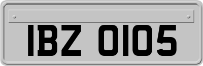 IBZ0105