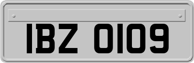IBZ0109