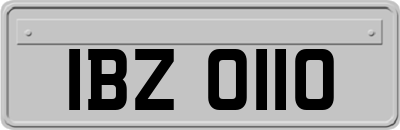 IBZ0110