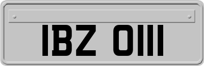 IBZ0111