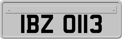 IBZ0113