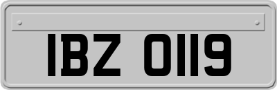 IBZ0119