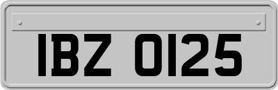IBZ0125