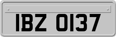 IBZ0137