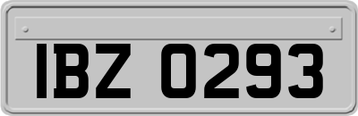 IBZ0293