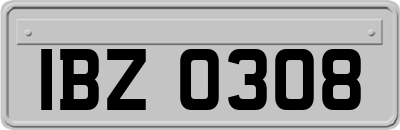 IBZ0308