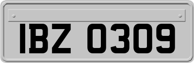 IBZ0309