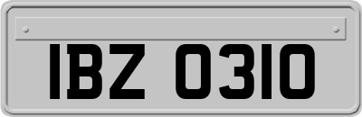 IBZ0310