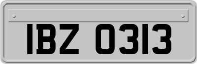 IBZ0313