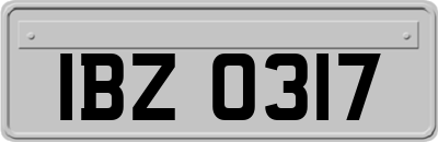 IBZ0317
