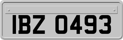 IBZ0493