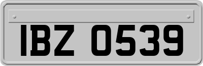 IBZ0539