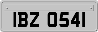 IBZ0541