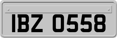 IBZ0558