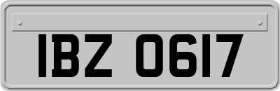 IBZ0617