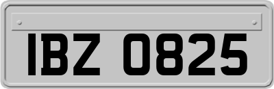 IBZ0825