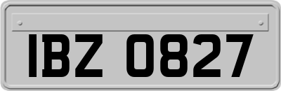 IBZ0827