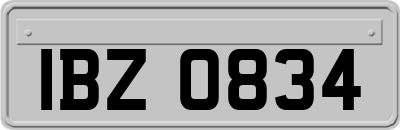IBZ0834