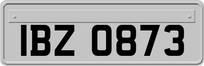 IBZ0873
