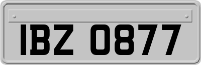 IBZ0877