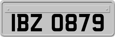 IBZ0879